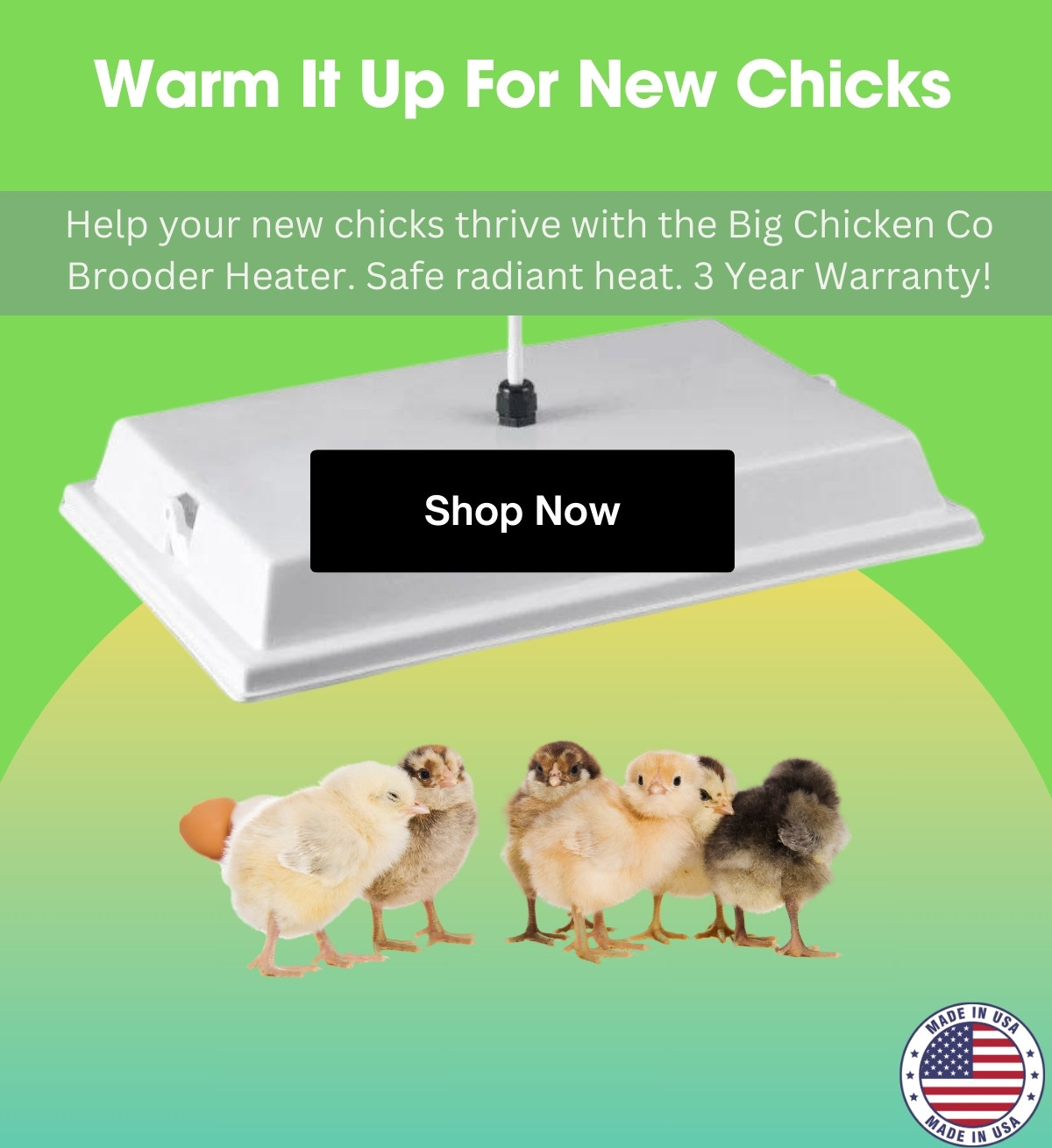 Chicken Coop Heater